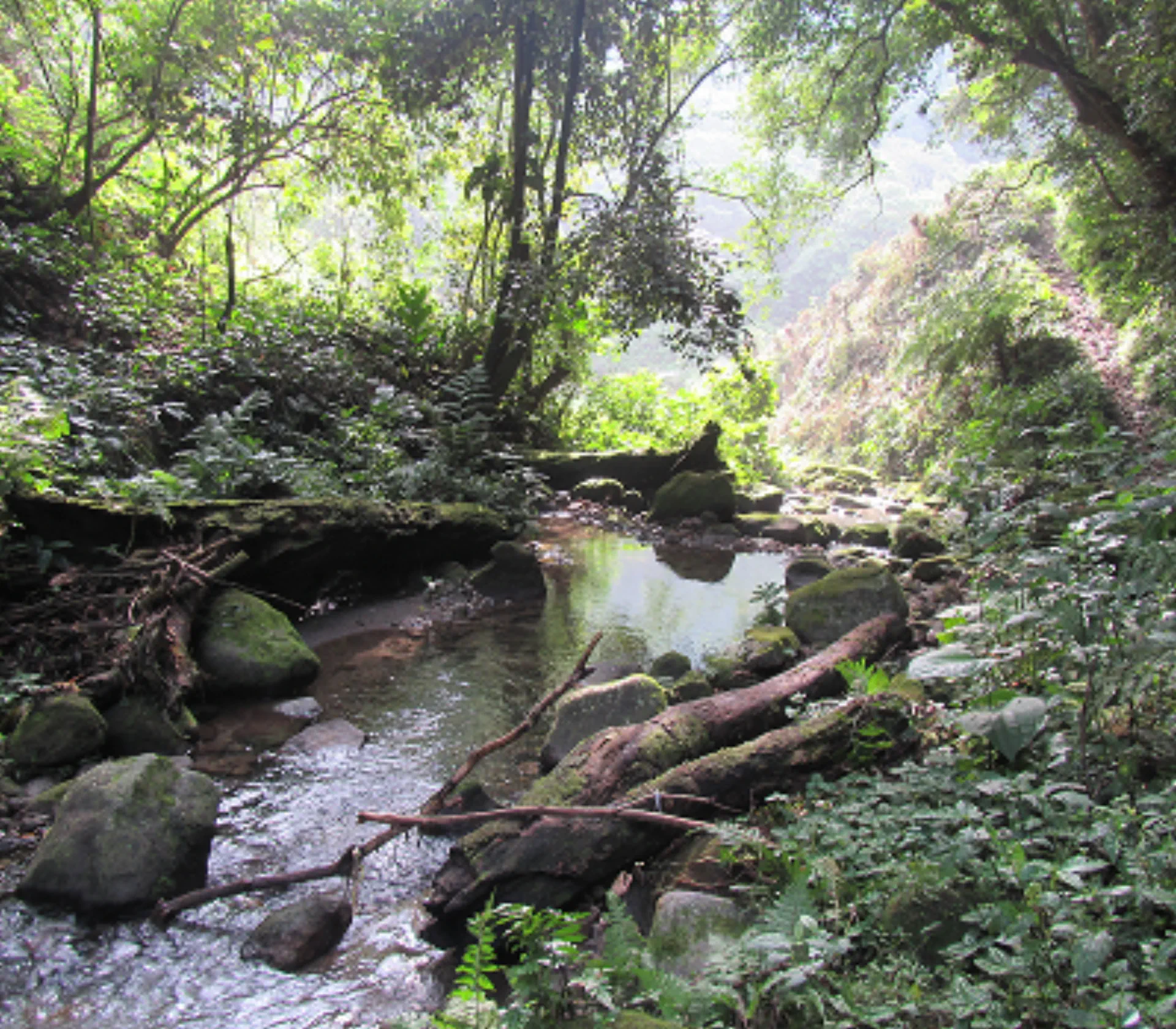 Monumento Natural Cerro Gaital