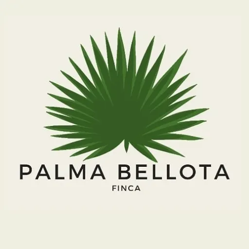Finca Palma Bellota