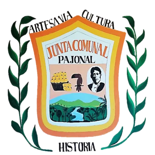 Junta Comunal Pajona