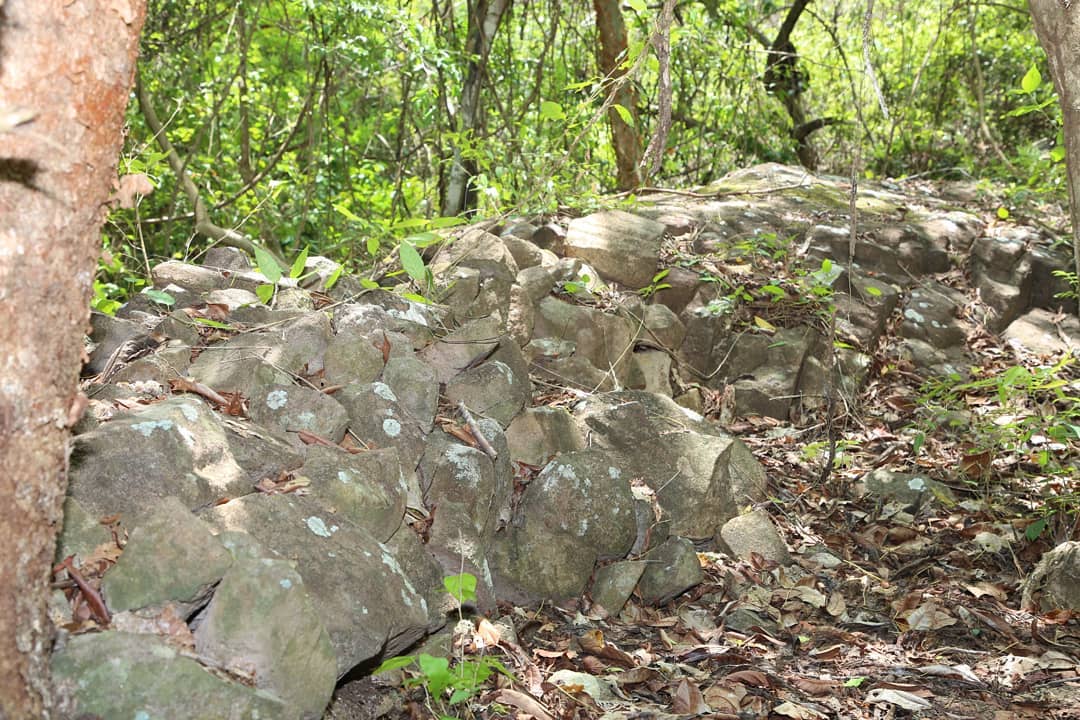 Imagen de Campo Trinchera Victoriano Lorenzo