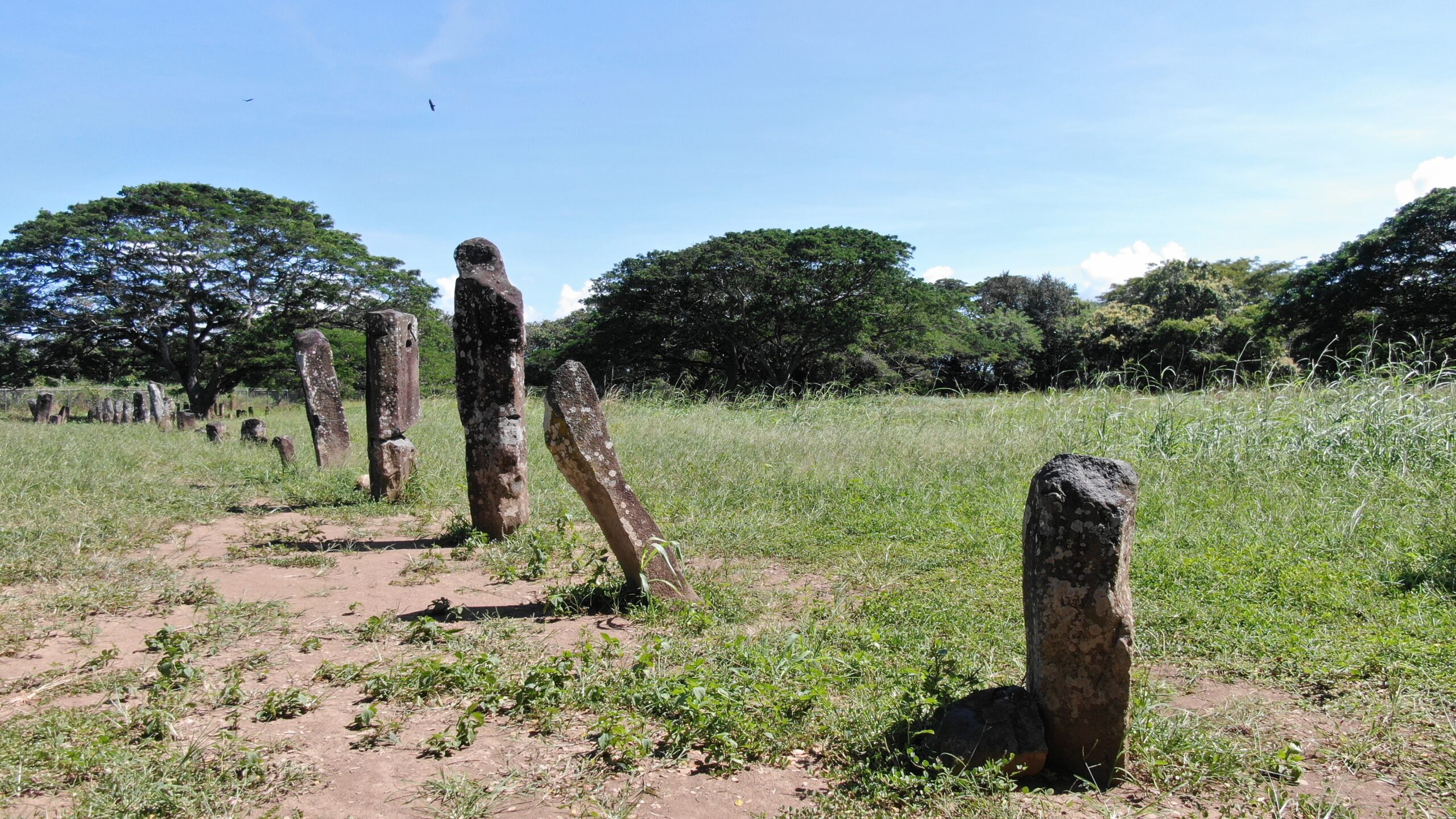 Imagen de Museo Parque Arqueologico El Caño