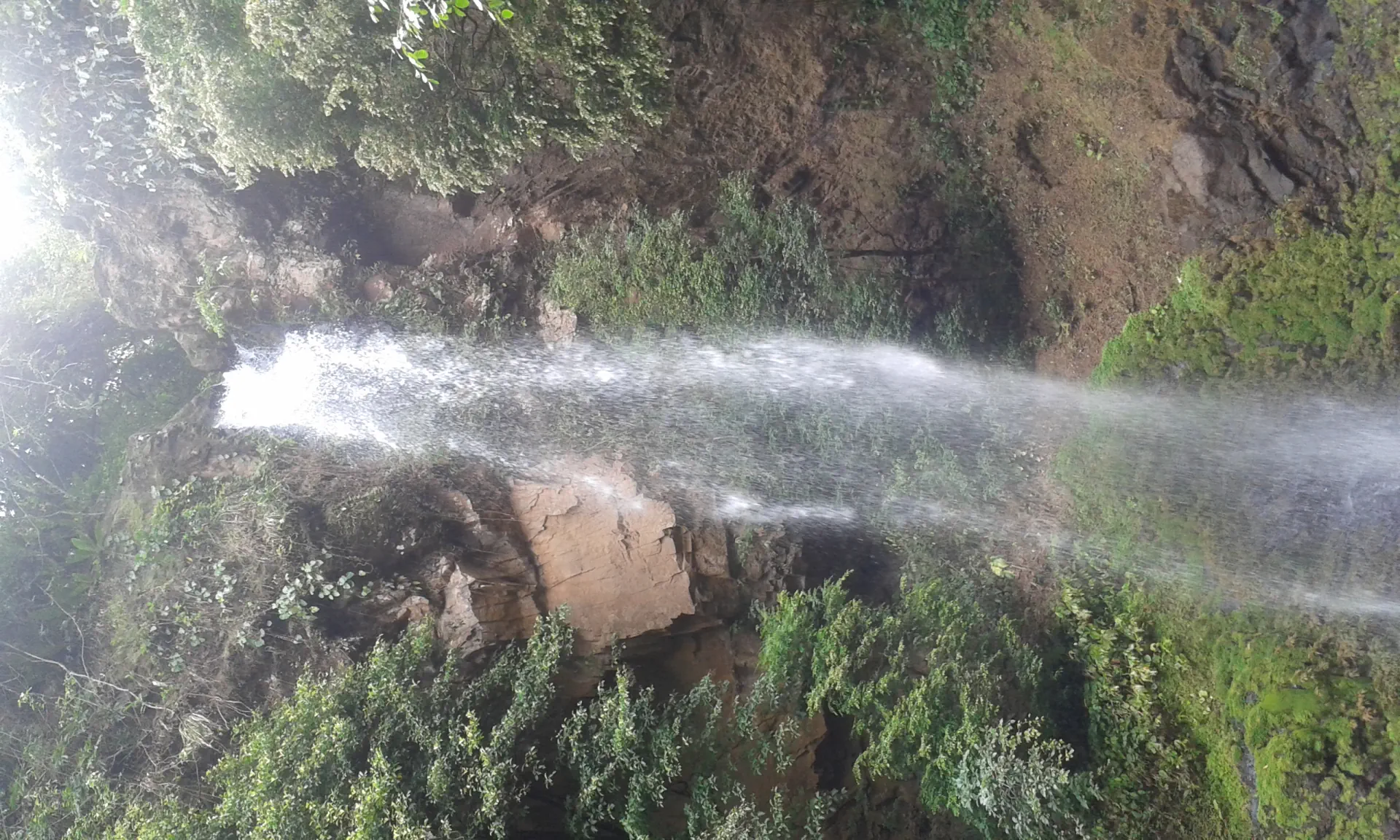 Chiguirí Arriba